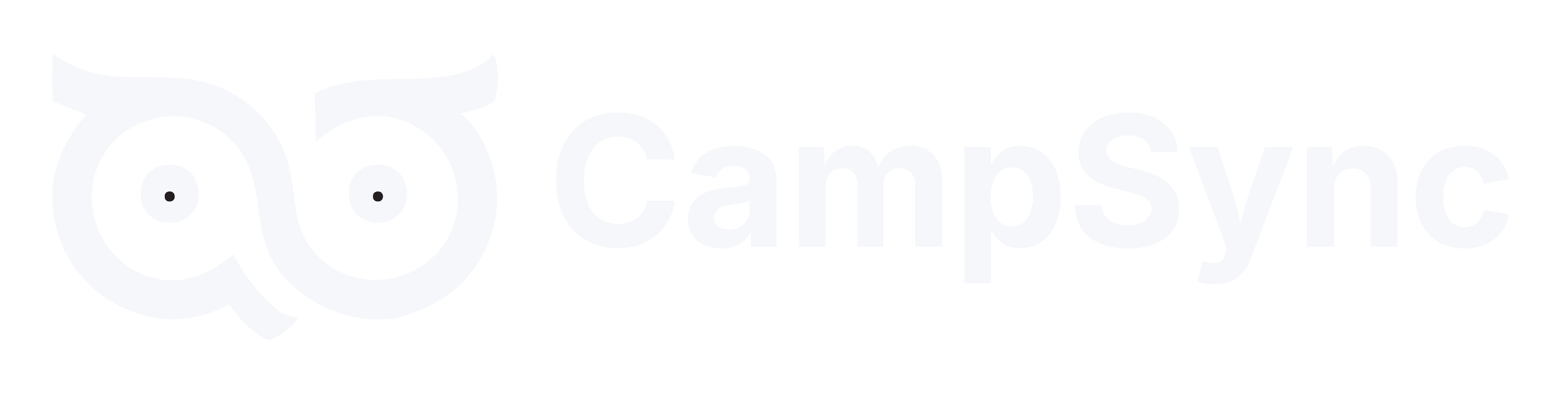 CampSync Logo